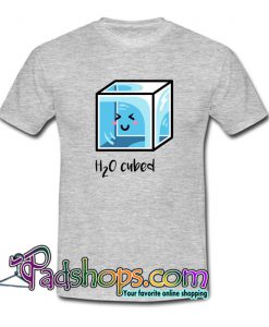 H2O Cubed Ice Block T shirt SL