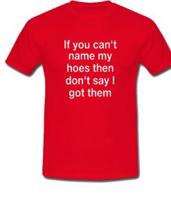 If You Can't Name My Hoes Then don't say got them T Shirt