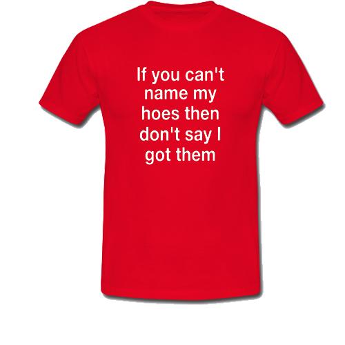If You Can't Name My Hoes Then don't say got them T Shirt