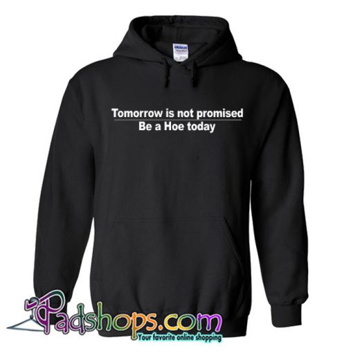 Tomorrow is not promised be a hoe today Hoodie SL