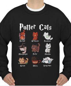 Harry Potter cats sweatshirt Ad