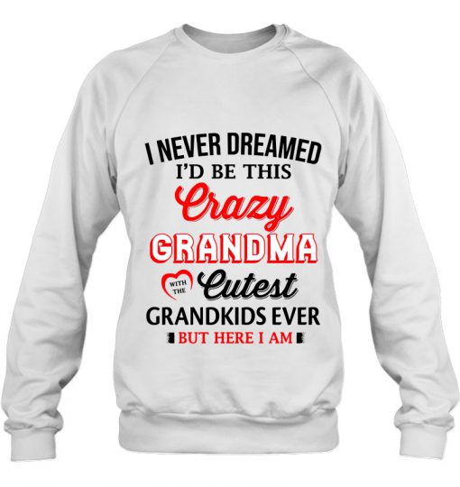 I Never Dreamed I Would Be This Crazy sweatshirt Ad
