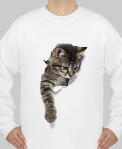cat sweatshirt Ad