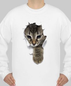 face cat sweatshirt Ad