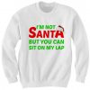 Christmas I’m Not Santa But You Can Sit On My Lap Sweatshirt