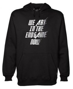 We Are In The Endgame Now Hoodie