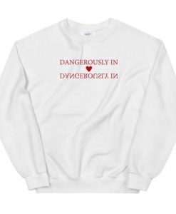 Dangerously in Love sweatshirt FR05