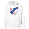 Eagle usa fly pappy flay american flag hoodie FR05