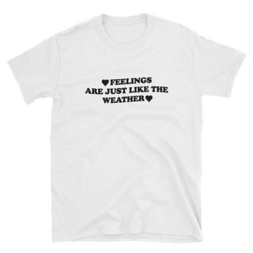 Feelings are just like the Weather t shirt FR05