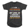 I am Queer my level of sarcasm depends on your level of stupidity t shirt FR05
