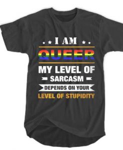 I am Queer my level of sarcasm depends on your level of stupidity t shirt FR05