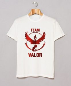 Team Valor white t shirt FR05