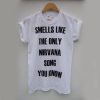 Smells Like The Only Nirvana Song You Know t shirt FR05