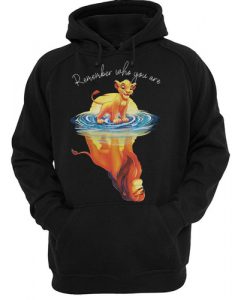 The Lion King Remember Who You Are hoodie FR05