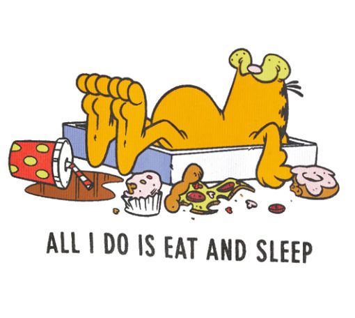 All I Do is Eat and Sleep Garfield detail