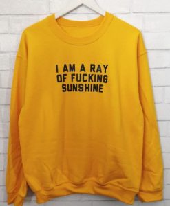 I am a ray of fucking sunshine sweatshirt FR05