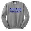 Asgard University sweatshirt FR05