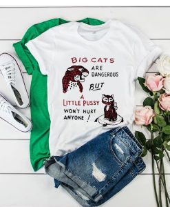 Big cats are dangerous but little pussy won't hurt anyone t shirt FR05