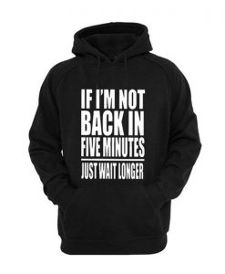 If I Am Not Back In 5 Minutes, Just Wait Longer hoodie FR05