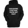 Gaslighting Is Not Real You're Just Crazy hoodie