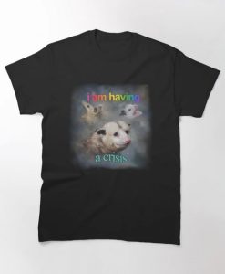 I am having a crisis possum word art T-Shirt thd