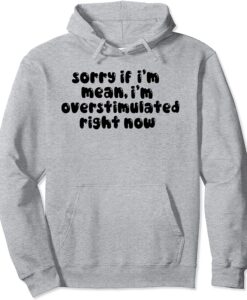 sorry if i'm mean i'm Overstimulated right now Hoodie thd