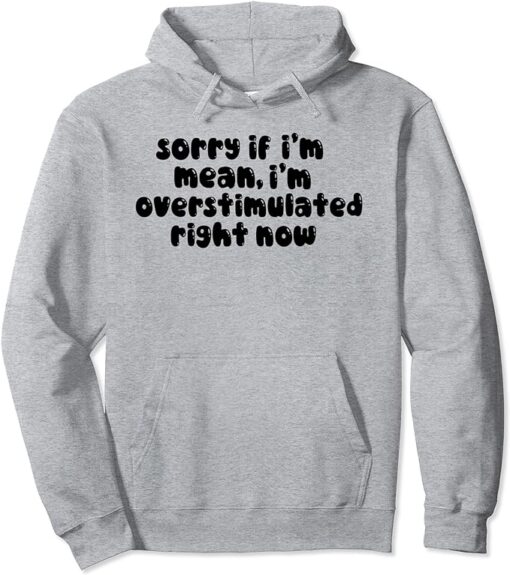 sorry if i'm mean i'm Overstimulated right now Hoodie thd